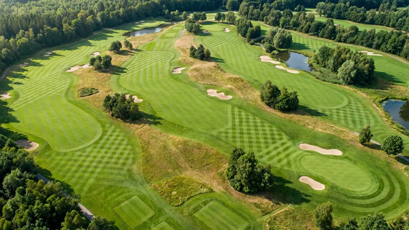 Aerial view of customised striping patterns cut by the FJD RCM01